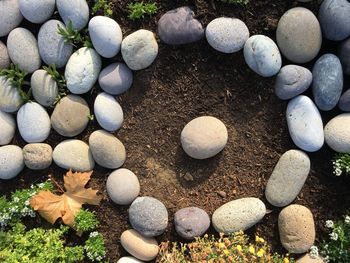 High angle view of stones