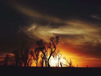 Silhouette bare trees against dramatic sky during sunset