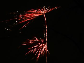 Low angle view of firework display at night