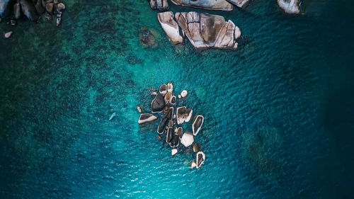 High angle view of people swimming in sea