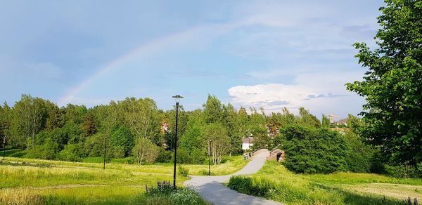 Road amidst plants and trees against sky