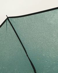 Low angle view of raindrops on rainy day