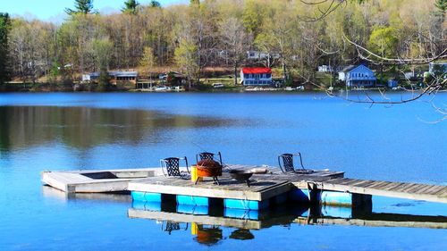 Reflection of trees in calm lake