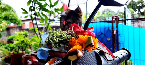 Close-up of woman holding vegetables hanging at market stall