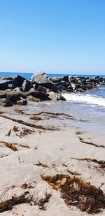 Scenic view of beach against clear blue sky