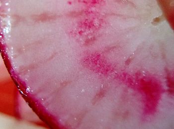 Close-up of pink flower