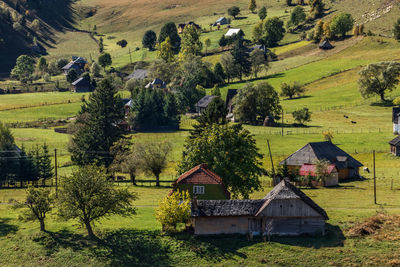 Scenic view of trees and houses on field