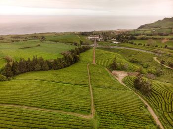 High angle view of agricultural field against sky