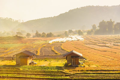 Scenic view of agricultural field by buildings against clear sky