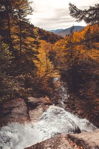 Scenic view of waterfall in forest against sky during autumn