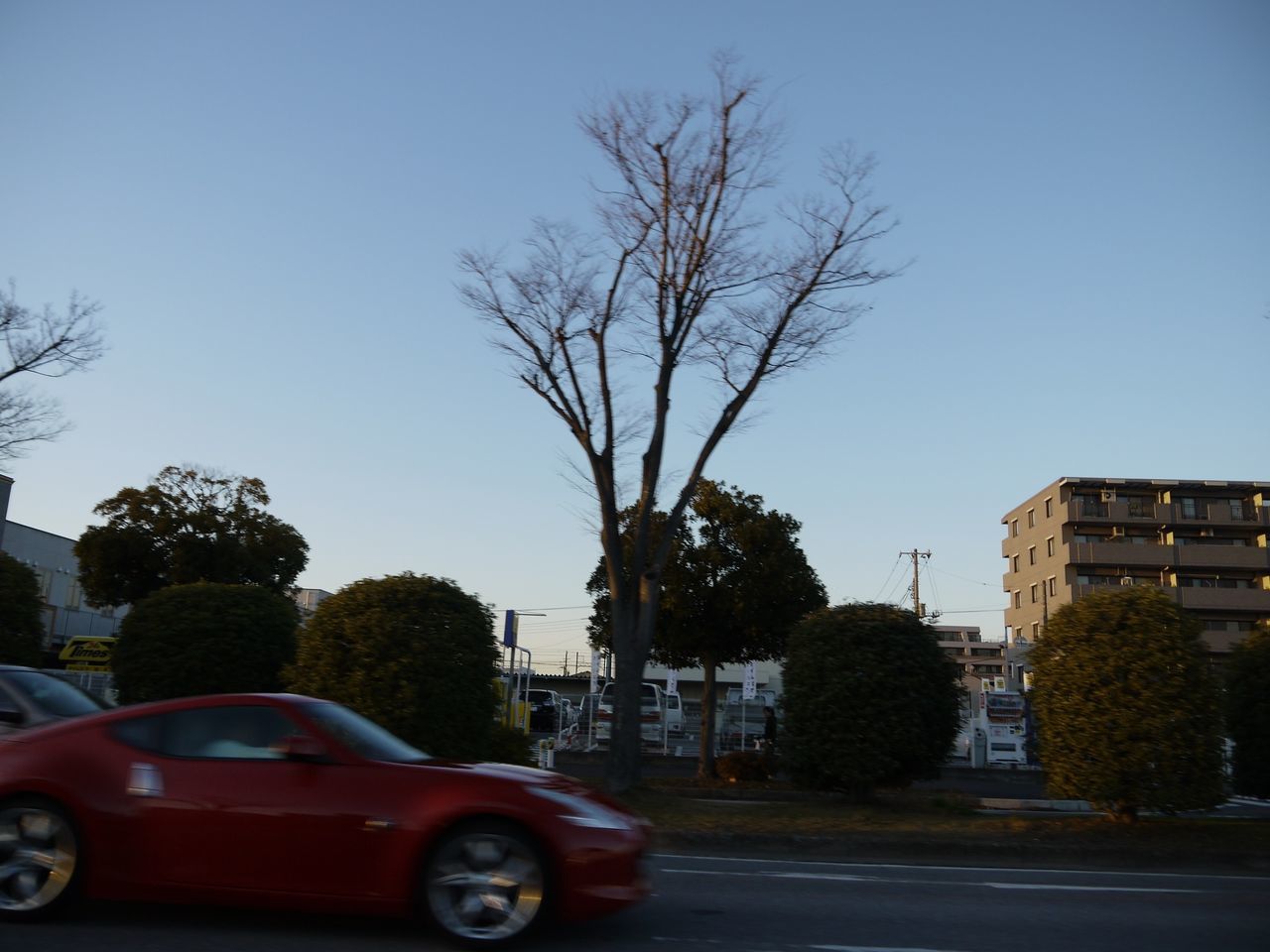 transportation, land vehicle, car, clear sky, mode of transport, tree, bare tree, building exterior, road, street, built structure, architecture, blue, parking, stationary, parked, copy space, day, outdoors, no people