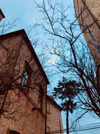 Low angle view of bare tree against sky