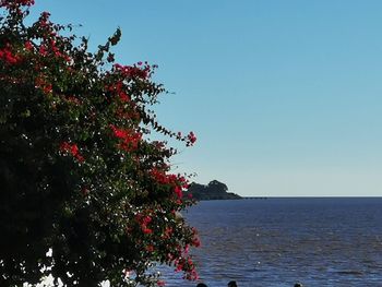 Scenic view of sea against clear sky