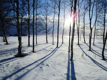 Bare trees on snow covered field against sky