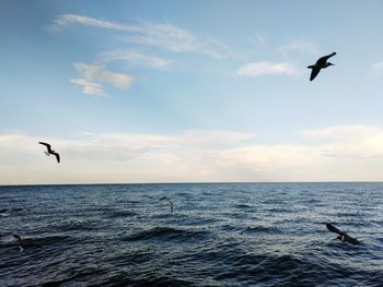 Seagulls flying over sea against sky