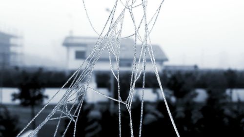 Close-up of water drops on leaf