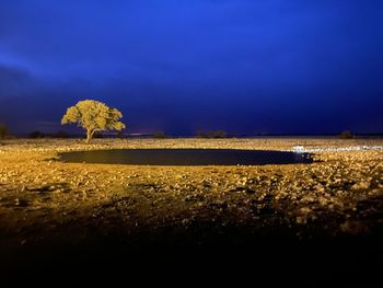 Scenic view of field against sky at night