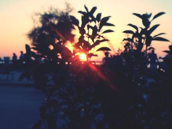 Close-up of silhouette palm trees against sky during sunset