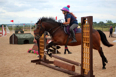 Horse riding horses