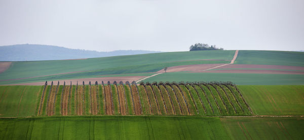 Agricultural landscape against sky
