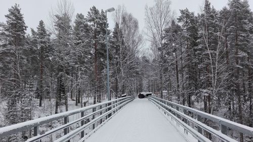 Road amidst trees in forest during winter