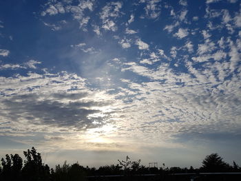 Low angle view of silhouette trees against sky