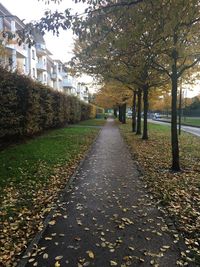 Footpath amidst leaves in park during autumn