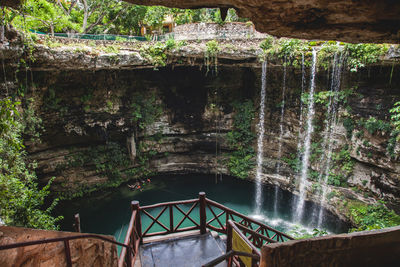 Scenic view of waterfall in forest