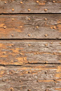 Close-up of cracked wood