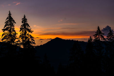 Silhouette trees against sky during sunset