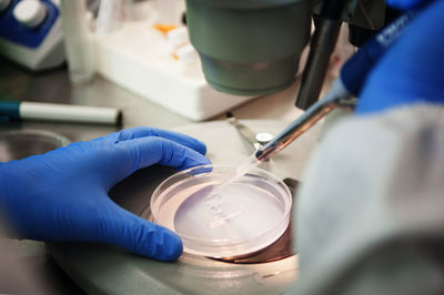 Scientist examining samples in petri dish under microscope at laboratory