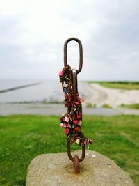 Love padlocks locked on rock near by lake