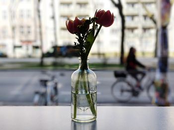 Close-up of red flower in glass bottle on table