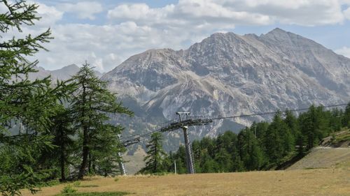 Scenic view of pine trees and mountains against sky