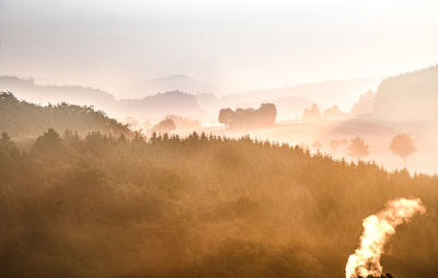 Panoramic shot of trees on landscape against sky