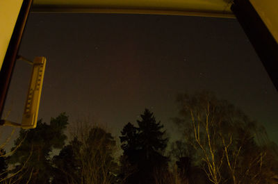 Low angle view of tree against sky
