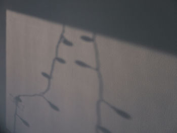 High angle view of shadow on wall