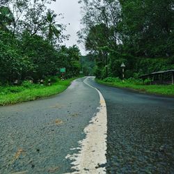 Surface level of road marking on street along trees