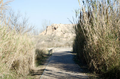 Scenic view of landscape against clear sky