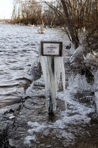 Information sign on tree trunk