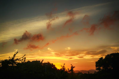 Low angle view of silhouette trees against dramatic sky