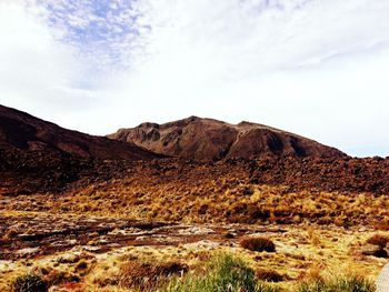 Scenic view of landscape against sky