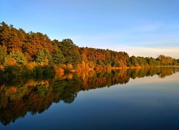 Scenic view of lake by trees against clear blue sky