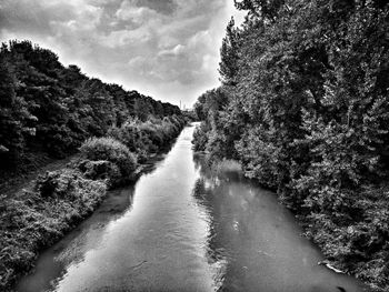 River amidst trees in forest against sky