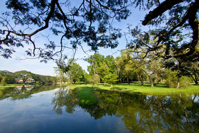 Scenic view of lake by trees against sky