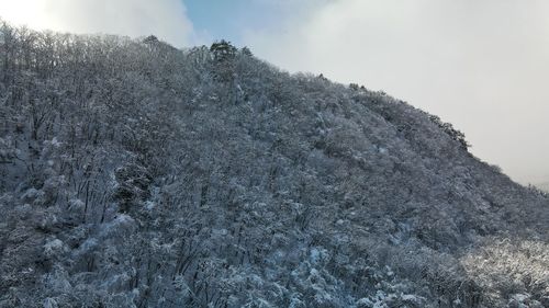 Low angle view of snowcapped mountain against sky