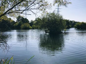 Scenic view of lake in forest against sky