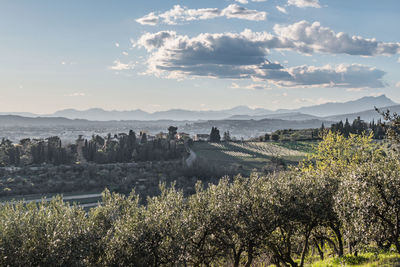 Scenic view of trees and buildings against sky