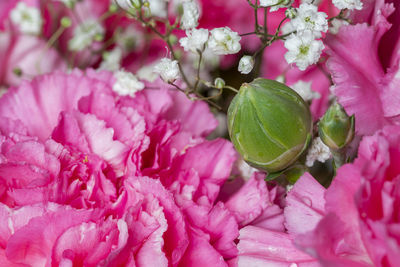 Full frame shot of pink flower bouquet