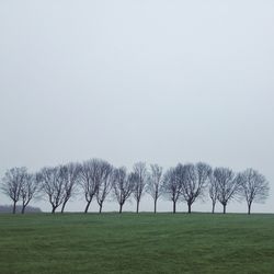 Bare trees on grassy field against clear sky